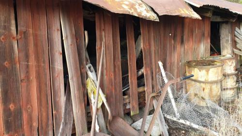 2020-01-17-12.01.19-scaled