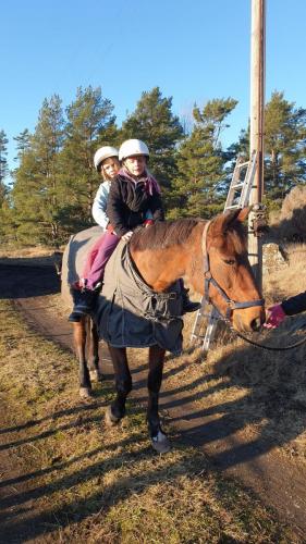 2020-01-19-12.53.45-scaled