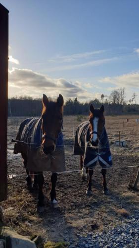 2020-02-06-13.30.16-scaled