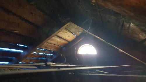 2020-04-26 12.20.57